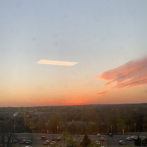 Meet your Posher, Sophia